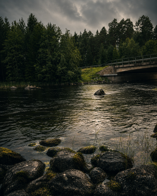 Fly Fishing the Gimån River, Sweden — A Day of Sight Fishing, Missed Takes & Lessons Learned
