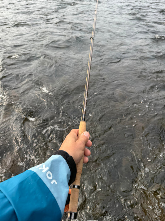 Brown Trout Fly Fishing in Dalarna — Sweden's Best Kept Secret