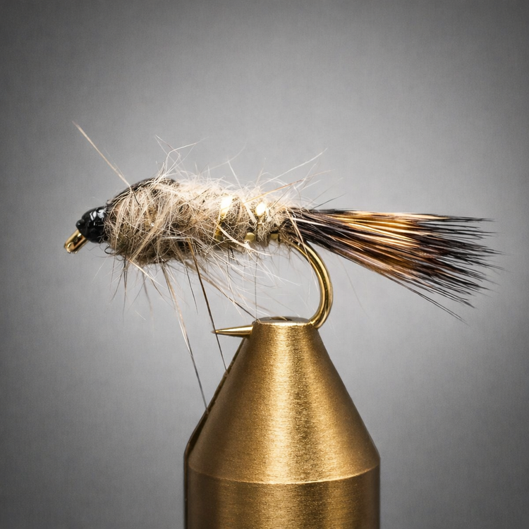 Nymphs