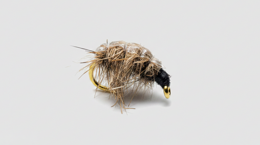 Scud pupa #14